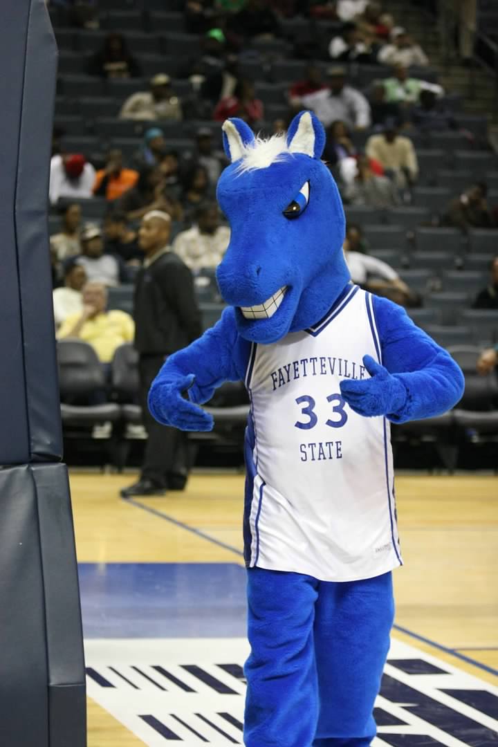 HBCU College Basketball Fayetteville state Mascot